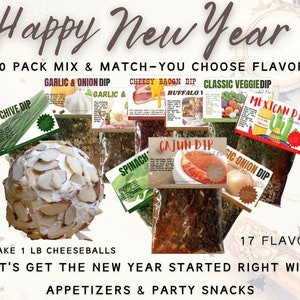 10 Pack Variety Dip Dry Mix Seasoning Mix Party Food New Year Party Snacks - Consumable Holiday Appetizer Gifts You Choose the Flavors