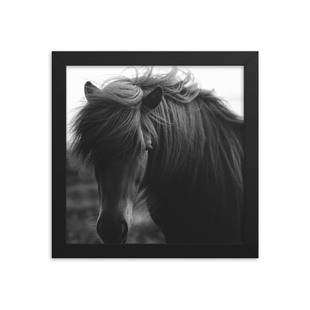 Framed Horse Photo Etsy