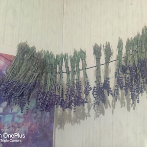 Fresh Dried Lavender bunches .5oz