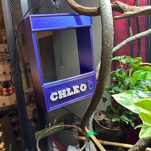 May include: A purple 3D printed reptile feeder with a mesh front and a white nameplate that reads "CHLEO'S".