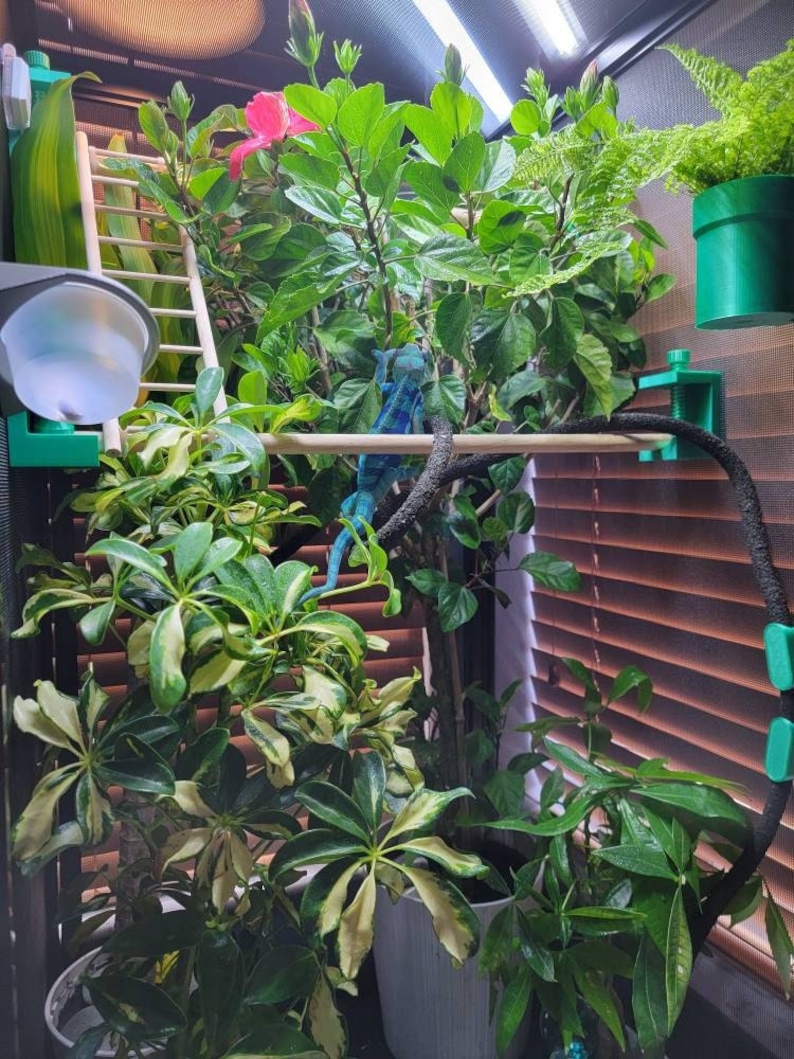 Branch holder for chameleon enclosures (Mesh) image 2