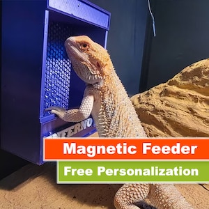 MAGNETIC Personalized Bearded Dragon, Gecko, Chameleon Feeder