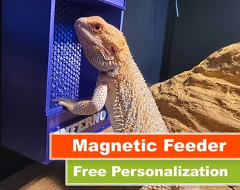 MAGNETIC Personalized Bearded Dragon, Gecko, Chameleon Feeder