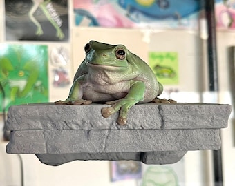Magnetic Rock ledge for frogs, geckos, chameleons, reptiles