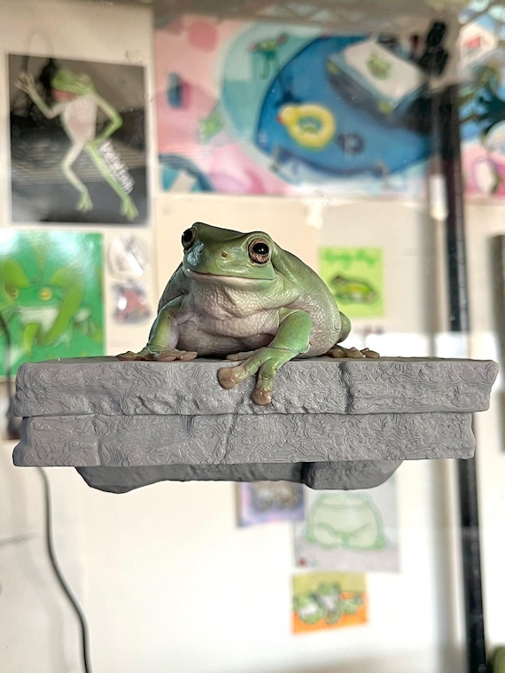 Magnetic Rock ledge for frogs, geckos, chameleons, reptiles