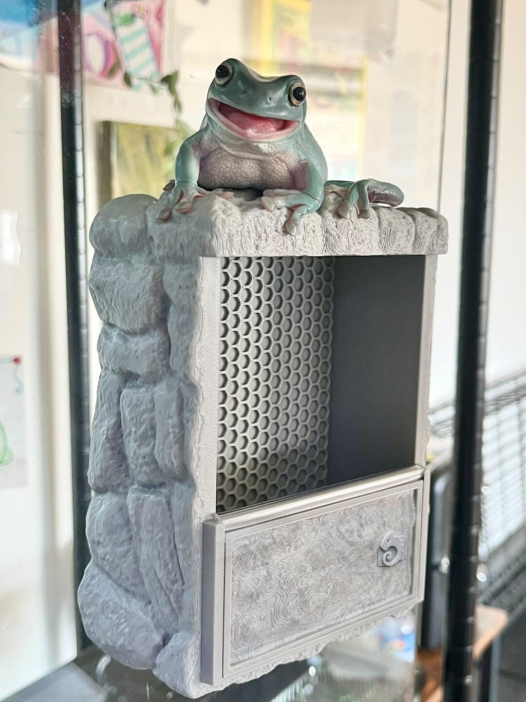 MAGNETIC Personalized Rock Texture Feeder for Gecko, Frogs, and Small ... - Frogs As Feeders For Snakes