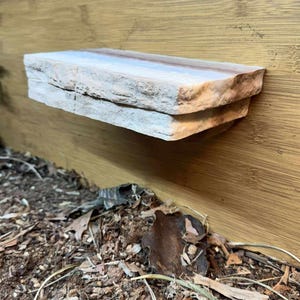 K&ouml;nnte beinhalten: Ein Natursteinregal, montiert auf einem Holzgrund. Das Regal hat eine hellbeige Farbe mit einer rauen, strukturierten Oberfl&auml;che. Der Hintergrund ist ein hellbraunes Holzmaserung. Das Regal befindet sich &uuml;ber einer Mulch- und Bl&auml;tterbettung.