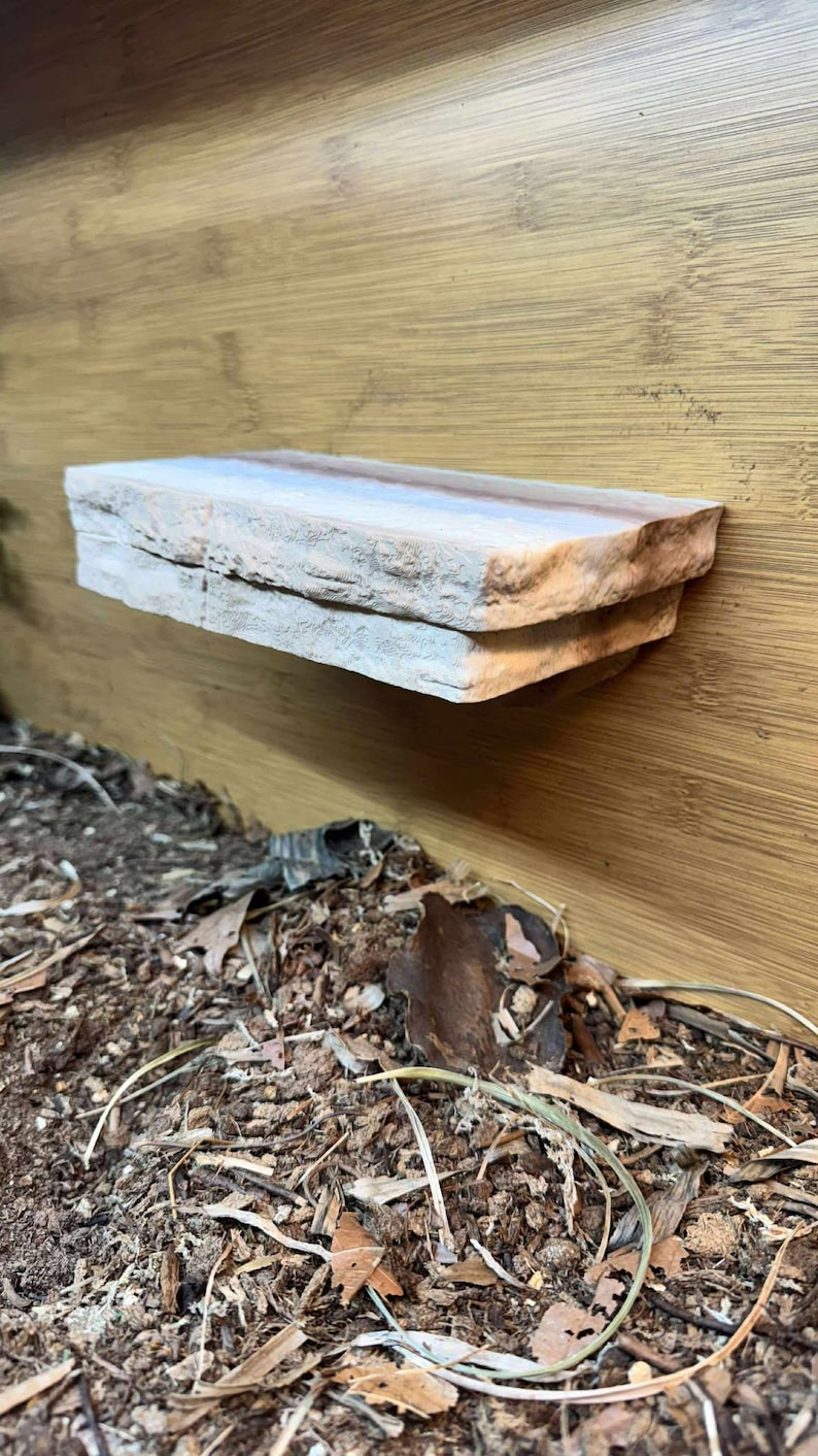 K&ouml;nnte beinhalten: Ein Natursteinregal, montiert auf einem Holzgrund. Das Regal hat eine hellbeige Farbe mit einer rauen, strukturierten Oberfl&auml;che. Der Hintergrund ist ein hellbraunes Holzmaserung. Das Regal befindet sich &uuml;ber einer Mulch- und Bl&auml;tterbettung.