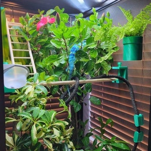 Branch holder for chameleon enclosures (Mesh) image 3