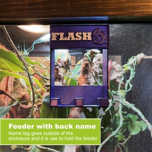 May include: Purple feeder with a name tag that says "FLASH" attached to a screen enclosure. The name tag is designed to hold the feeder.