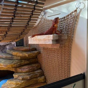 LARGE Magnetic Rock ledge for bearded dragons, geckos, frogs,chameleons, reptiles Bild 2