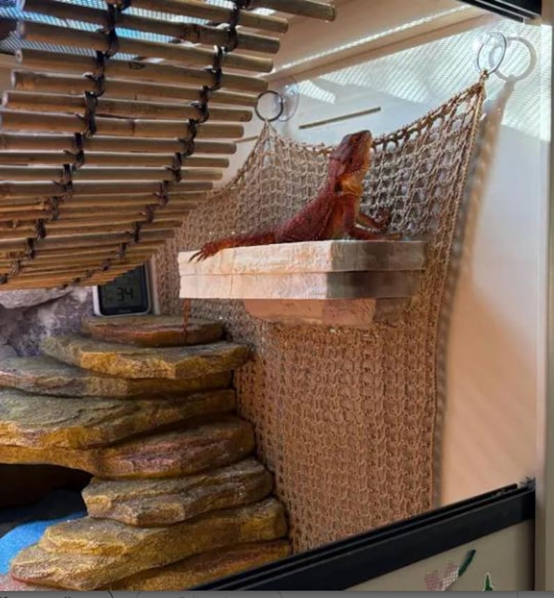 LARGE Magnetic Rock ledge for bearded dragons, geckos, frogs,chameleons, reptiles Bild 2