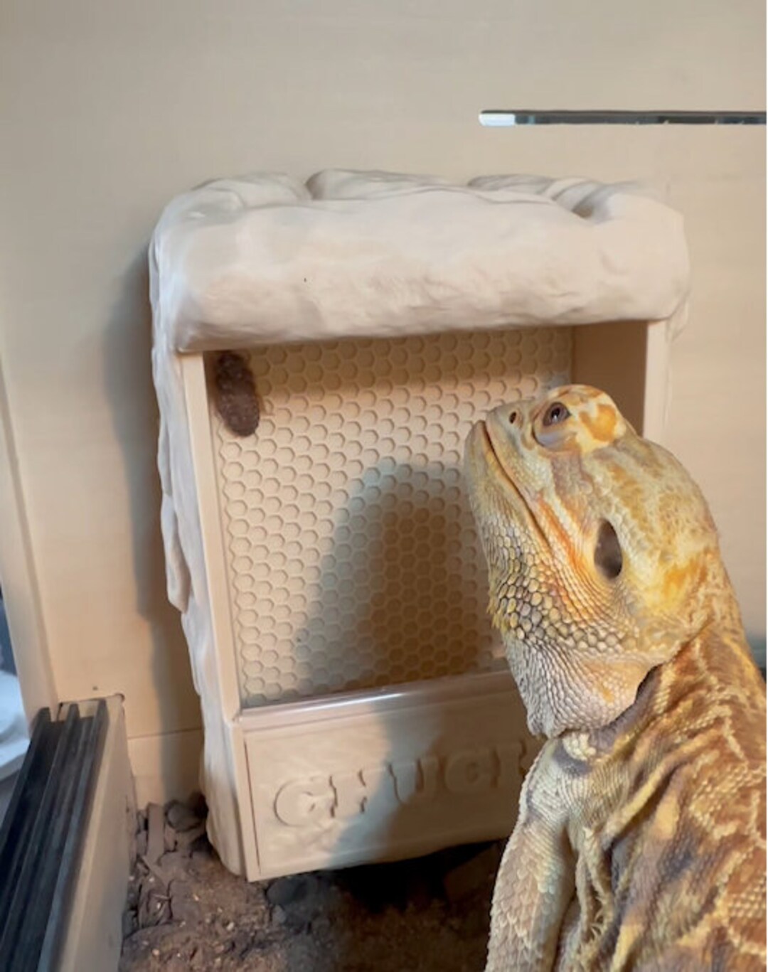 Navaris Reptile Cricket Feeding Rock - Realistic Polyresin Terrarium Feeder With Magnetic Lid & Cricket Release Hole