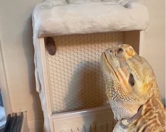 MAGNETIC Personalized Rock Texture Feeder for Bearded Dragon, Gecko, Chameleon
