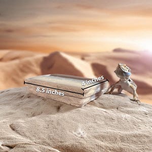 K&ouml;nnte beinhalten: Ein rechteckiges, helles Reptilienhabitat, 21,6 cm lang und 10,2 cm breit, liegt auf einer strukturierten Oberfl&auml;che. Eine Bartagame ist in der N&auml;he positioniert. Der Hintergrund zeigt eine W&uuml;stenlandschaft mit Sonnenuntergang.
