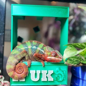 Personalized Magnetic Chameleon Feeder