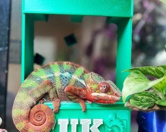 Personalized Magnetic Chameleon Feeder