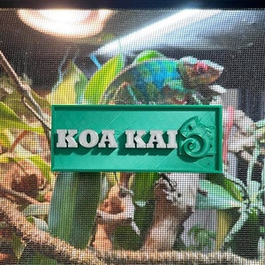 Magnetic Reptile Name Tag (Bearded dragon, tortoise, chameleon)