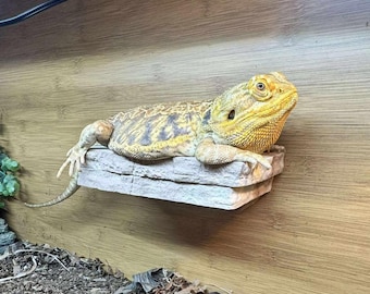 LARGE Magnetic Rock ledge for bearded dragons, geckos, frogs,chameleons, reptiles