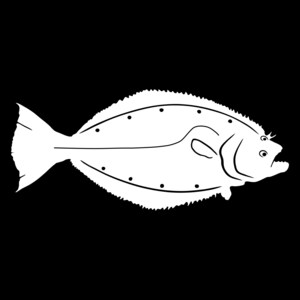 May include: A white silhouette of a flatfish, also known as a flounder, with a slightly open mouth and a curved body. The fish is facing right and has a small tail fin.