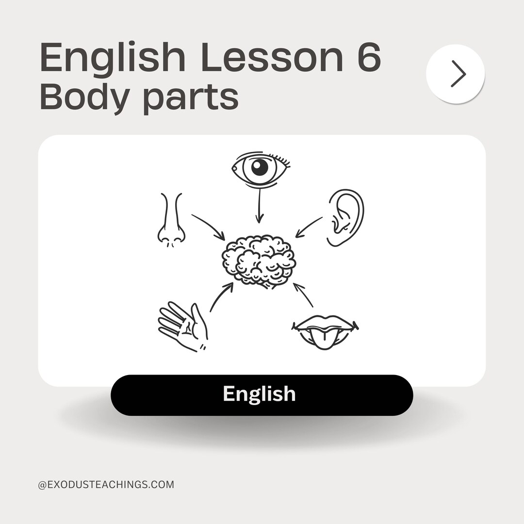 TEFL English Lesson About Body Parts - Etsy