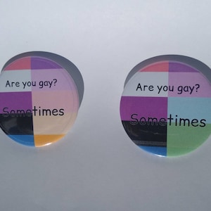 May include: Two round buttons with a multi-coloured design. The buttons have the text "Are you gay? Sometimes" on them.