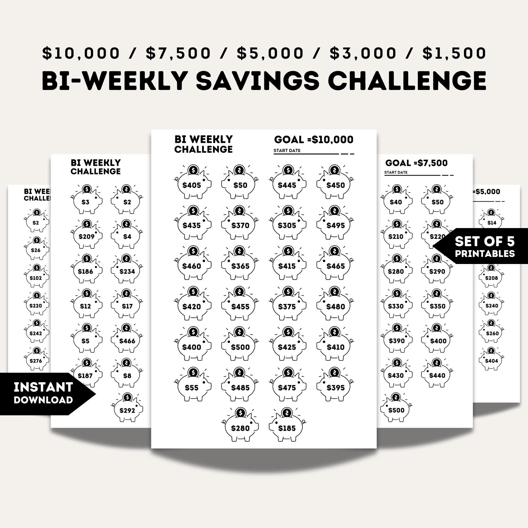★うさこ★ A6リフィル　savings challenge ☆うさこ☆ A6リフィル savings challenge Bundle 12 Printable