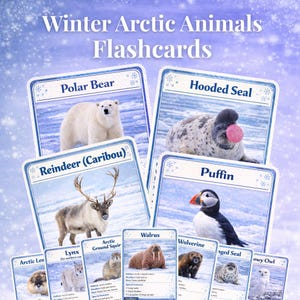 Pode incluir: Flashcards com animais árticos de inverno, incluindo um urso polar, uma rena e um papagaio-do-mar. Os cartões têm uma borda azul e detalhes de flocos de neve, com o título "Winter Arctic Animals Flashcards" no topo.