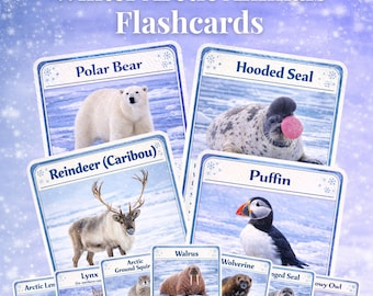 Arktische Tiere Karteikarten | 40 Winter Arktische Tierkarten | Druckbare Montessori Lernkarte | Vorschule & Hauptschule | PDF-Datei