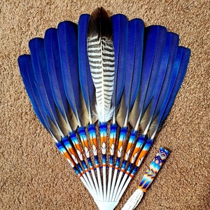 Blue And Gold Macaw Feathers. Yellow- 1/4 to 2,dreams, fans