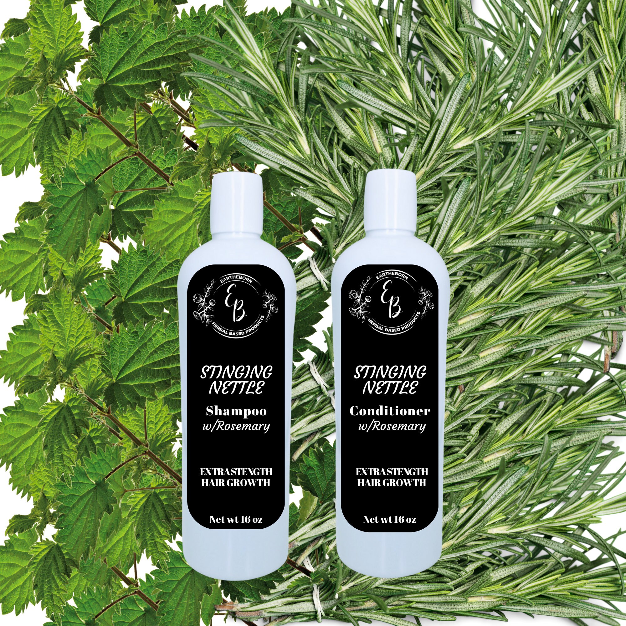 Stinging Nettle Rosemary Natural Shampoo And Conditioner Sets Organic Stinging Nettle Rosemary Natural Shampoo And Conditioner Sets Organic