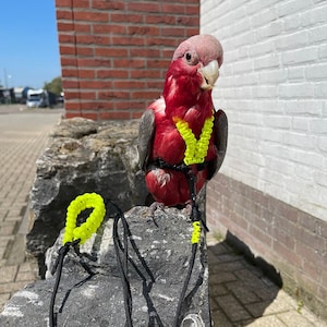 Papegaai Tuigje Paracord Neon geel/Zwart – Handgemaakt Verstelbaar Tuigje voor Papegaaien incl. lijn