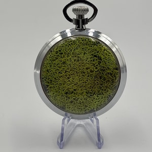 May include: A silver pocket watch with a clear face, revealing a bright green moss interior. The watch features a black loop at the top and is presented on a clear plastic stand. The round watch has a polished, metallic finish.