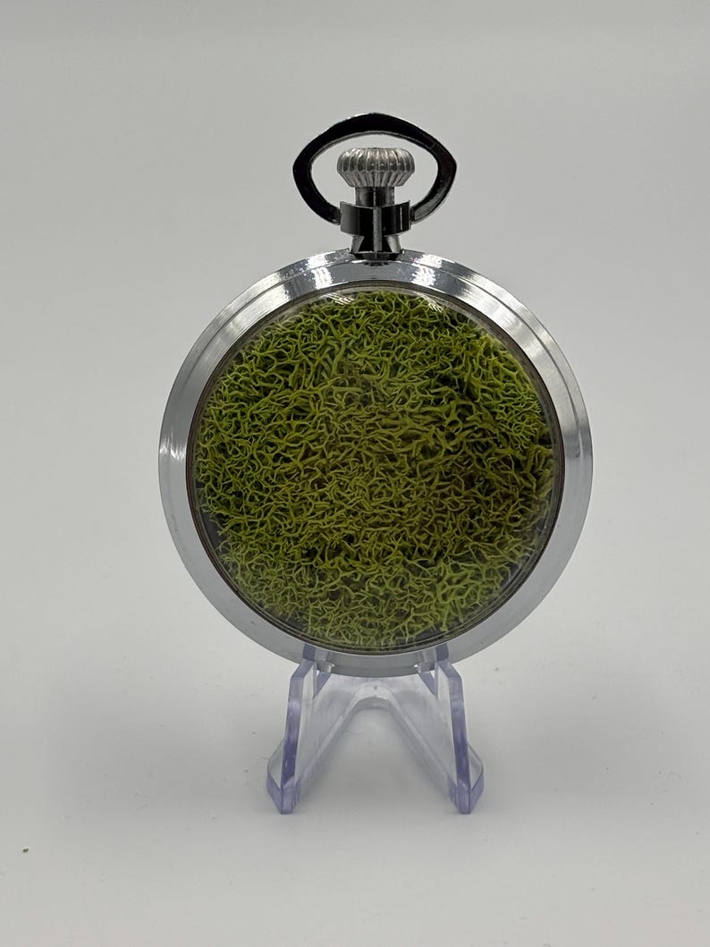 May include: A silver pocket watch with a clear face, revealing a bright green moss interior. The watch features a black loop at the top and is presented on a clear plastic stand. The round watch has a polished, metallic finish.