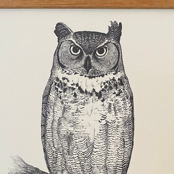 Vintage Great Horned Owl Lithograph