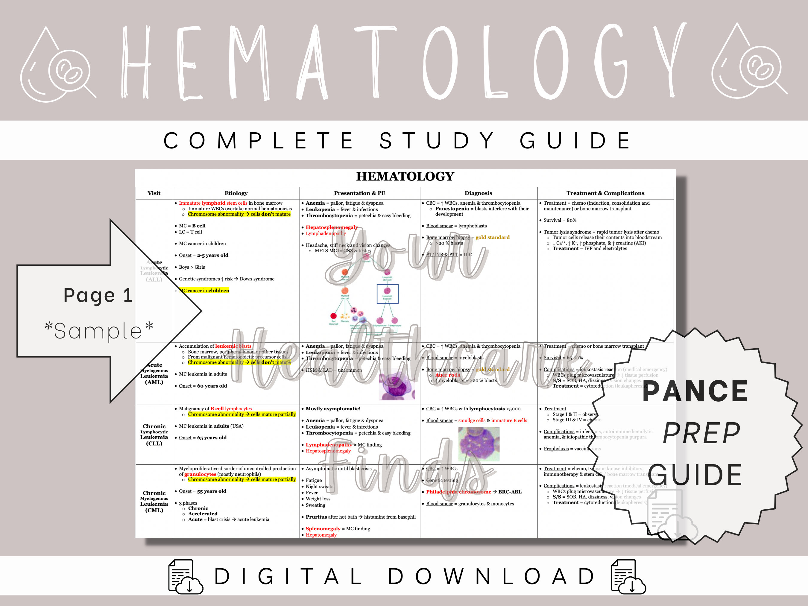 Hematology Study Guide (digital Download) - Etsy