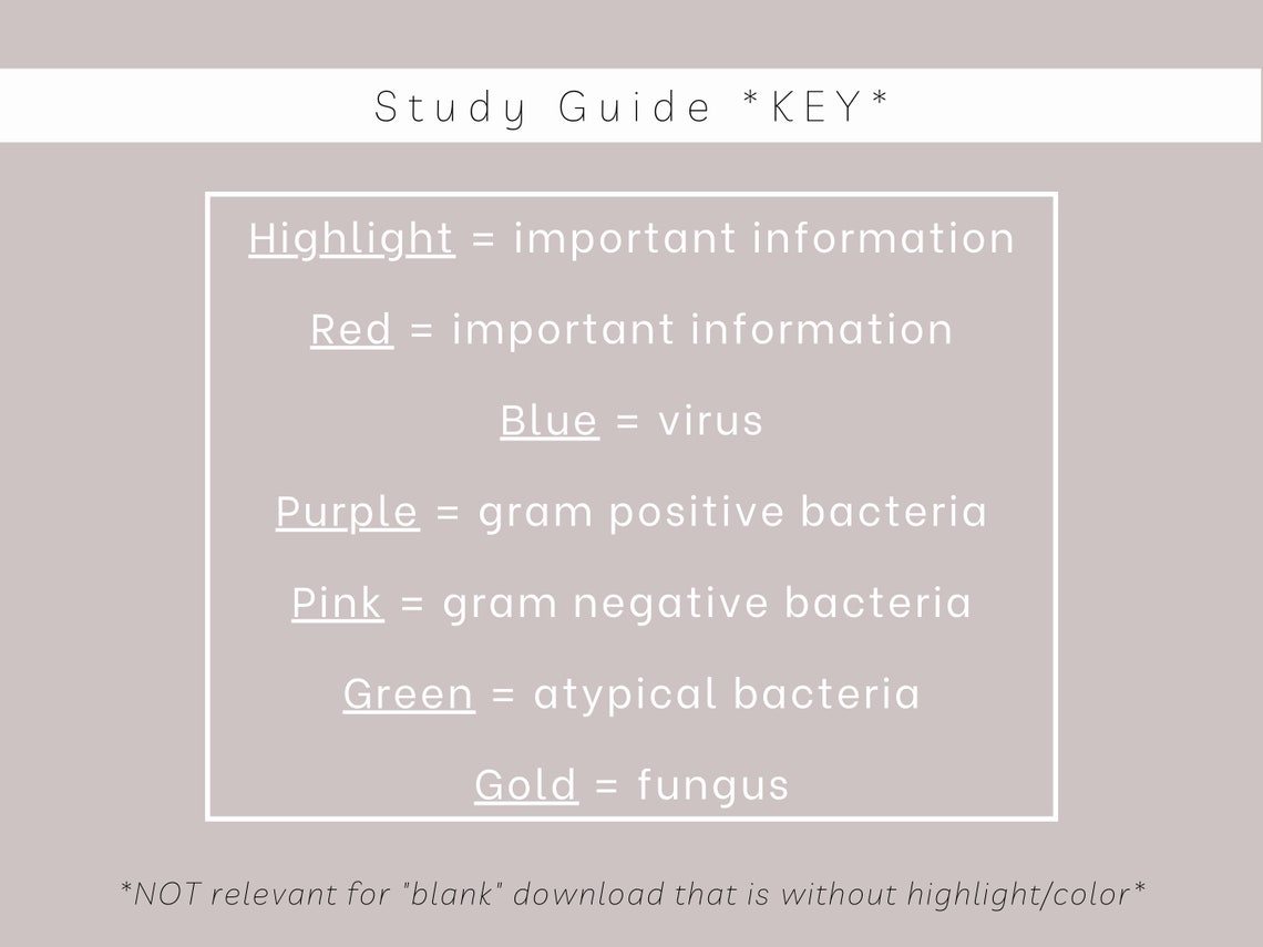 Eyes Ears Nose & Throat Complete Study Guide Study Guide Etsy