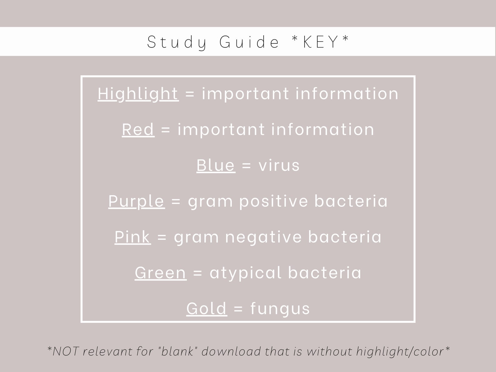 Eyes Ears Nose & Throat Complete Study Guide Study Guide Etsy