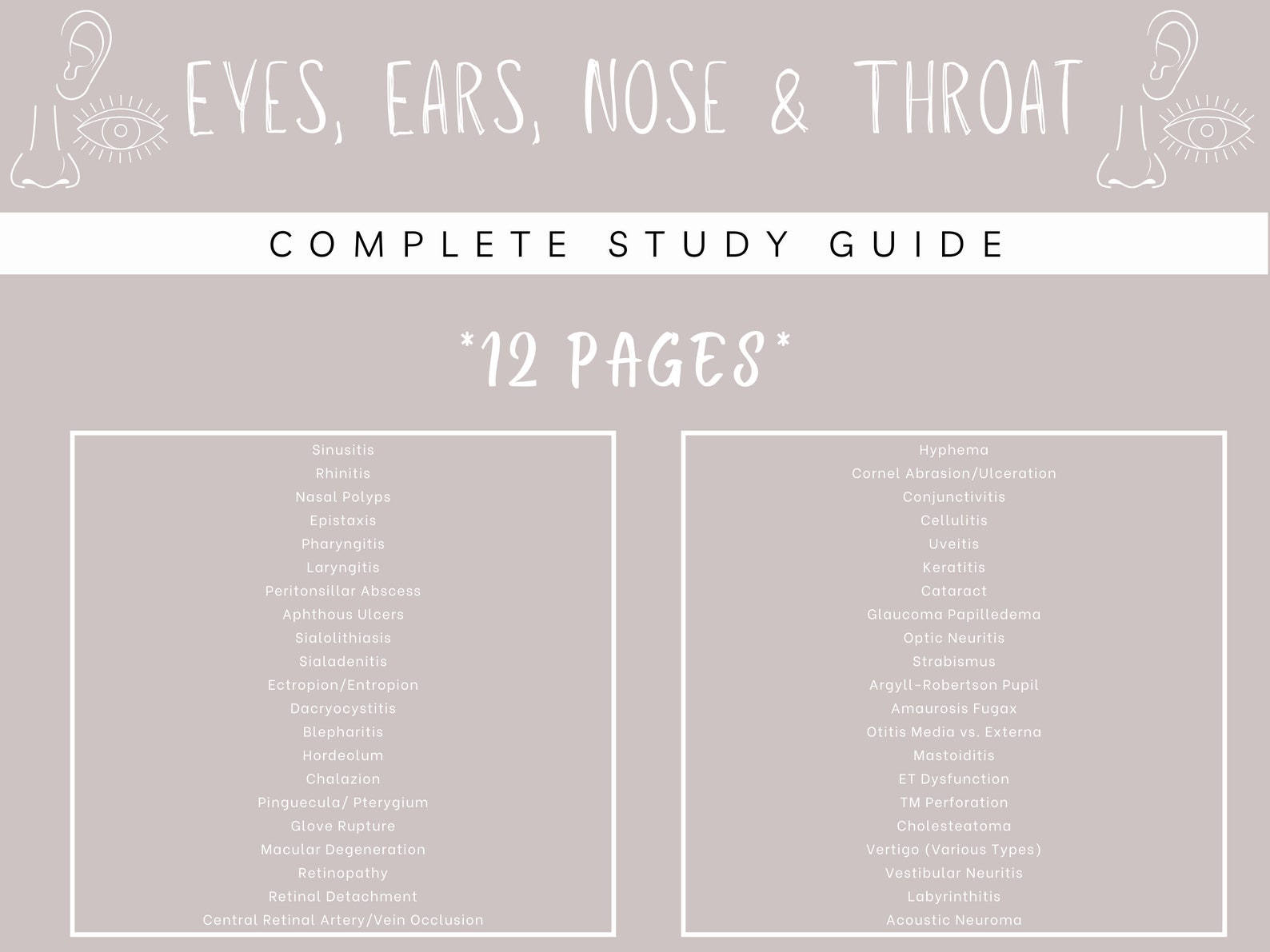 Eyes Ears Nose & Throat Complete Study Guide Study Guide Etsy