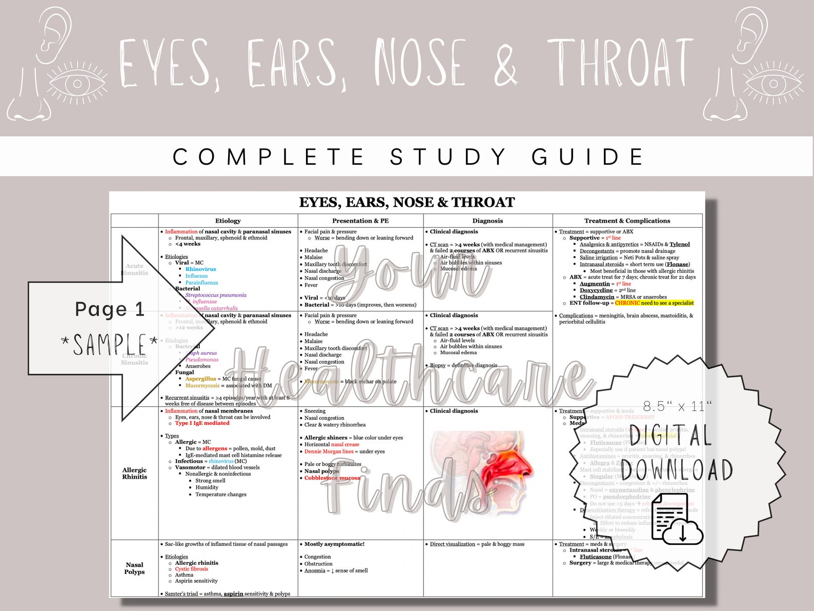 Eyes Ears Nose & Throat Complete Study Guide Study Guide Etsy