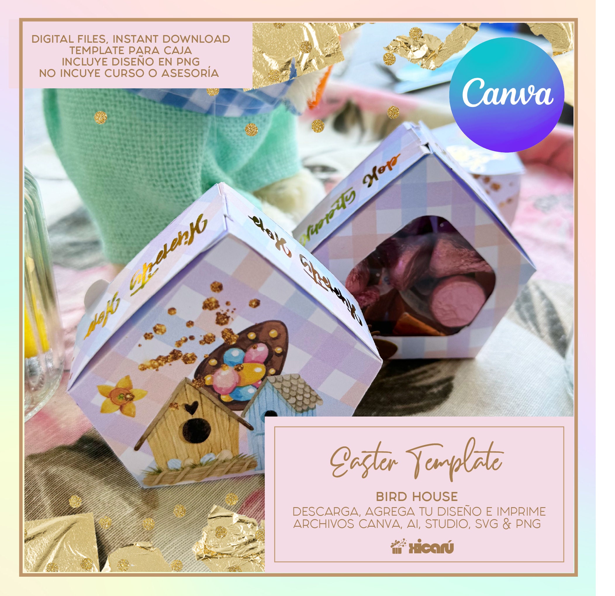 Template: Bird House Bird House Etsy