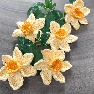 DAFFODIL CROCHET PATTERN | Instant pdf download | Flower Pattern Handmade | Easy Crochet Flower Appliqués | Flowers Decor | daffodil pattern