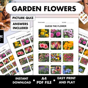 Plant Guessing Game - Etsy UK