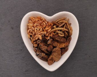 Sample Pack/Dried Mealworms/Crickets/Gammarus/Silkworm Pupae