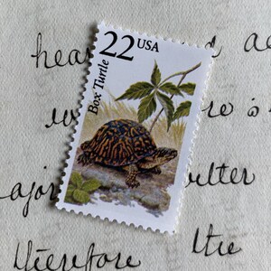 Box Turtle | 1987 | Vintage US Postage Stamps | Face Value 22 Cents | Scott 2326 | Wildlife, Animals, Shell, Snapping, Freshwater, Pond