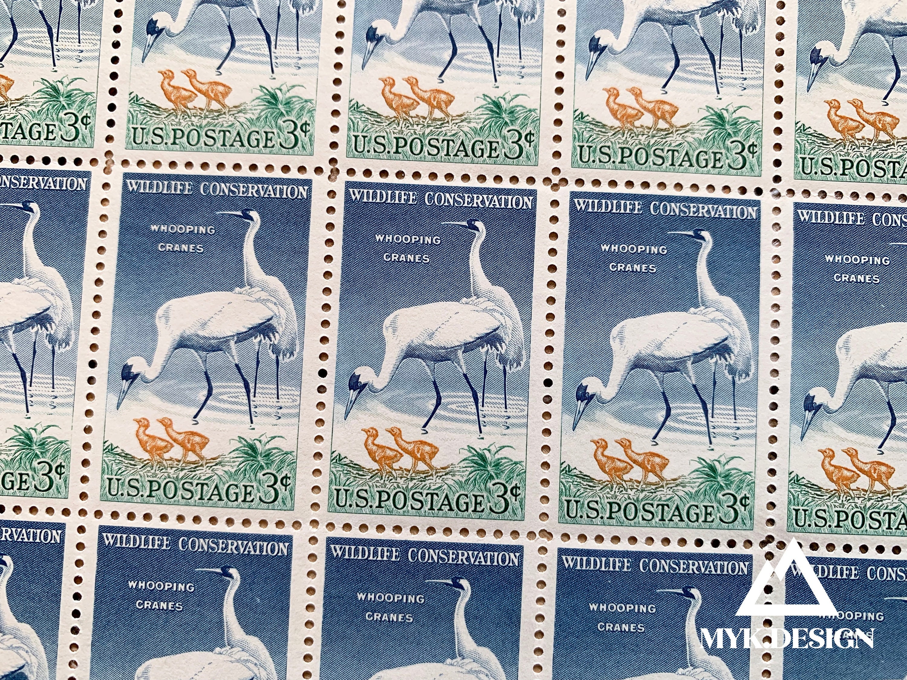 Whooping Cranes, Wildlife Conservation | 1957 | Vintage US Postage Stamps | Face Value 3 Cents | Scott 1098 | Bird, Florida, Louisiana, Colt