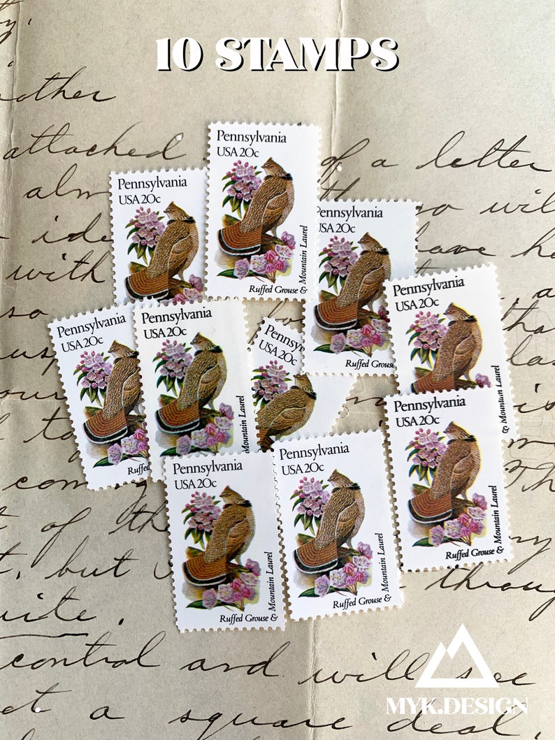 Pennsylvania state bird and flower ruffed grouse and mountain etsy