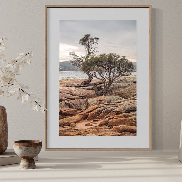 Freycinet #1  - Wall Art, Photographic Print - Australian Landscape - Limited Edition - Tasmania - Australia