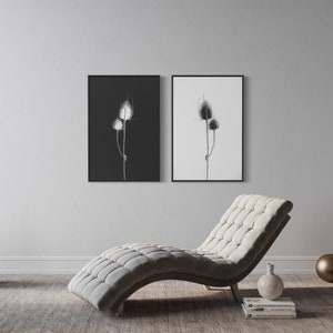 Set of TWO Australian flora #2 Instant Download - Dried Botanicals - Photograph - Australia - in the wild - flora - thistle