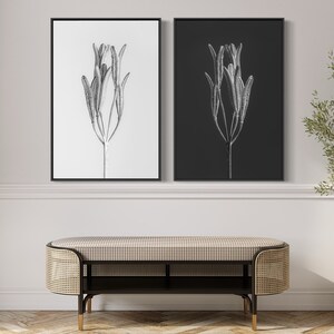 Set of TWO Australian flora #1 Instant Download - Dried Botanicals - Photograph - Australia - in the wild - flora